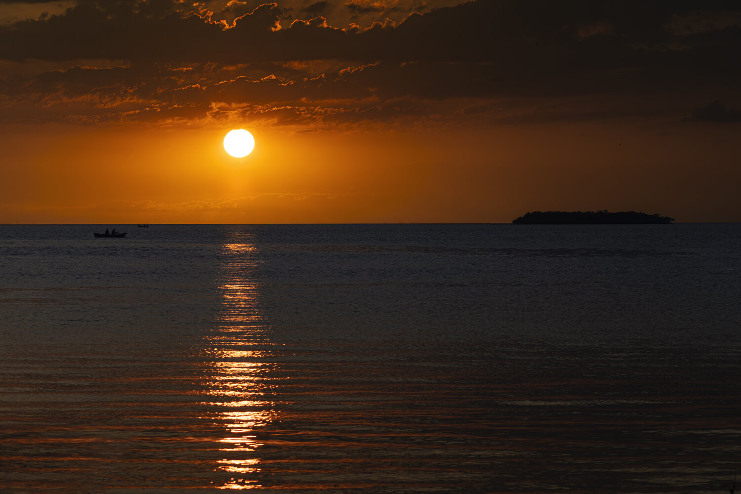 Photo #13981684
