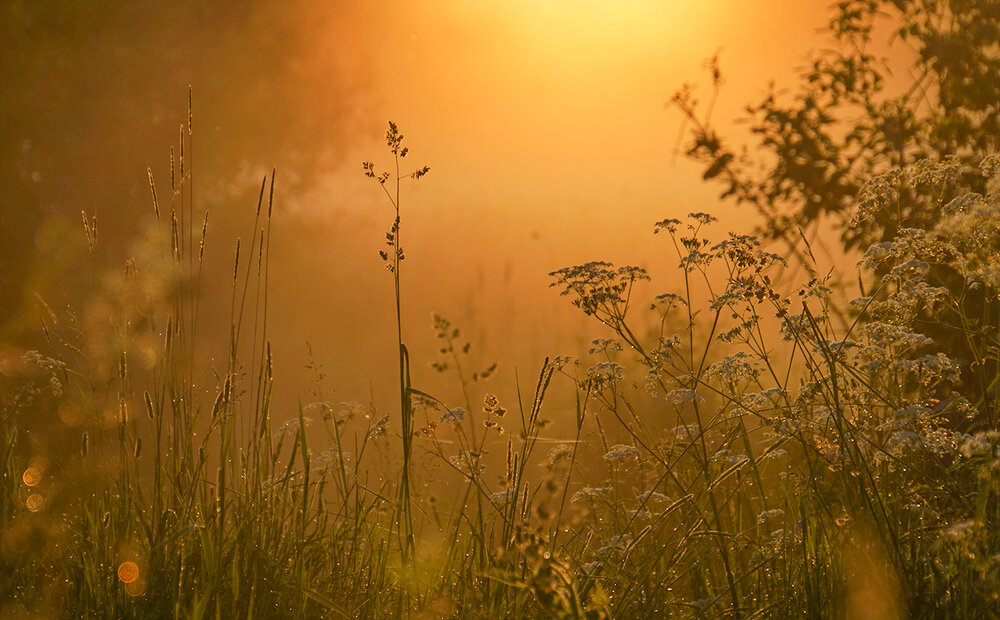 Photograph by Галина Лубянникова