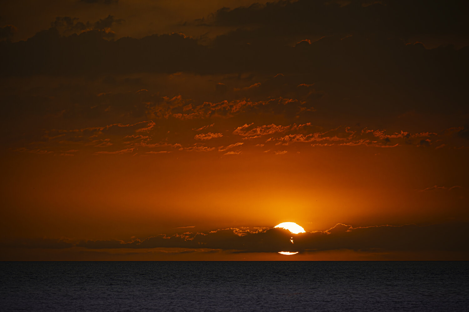 Photo #13981690