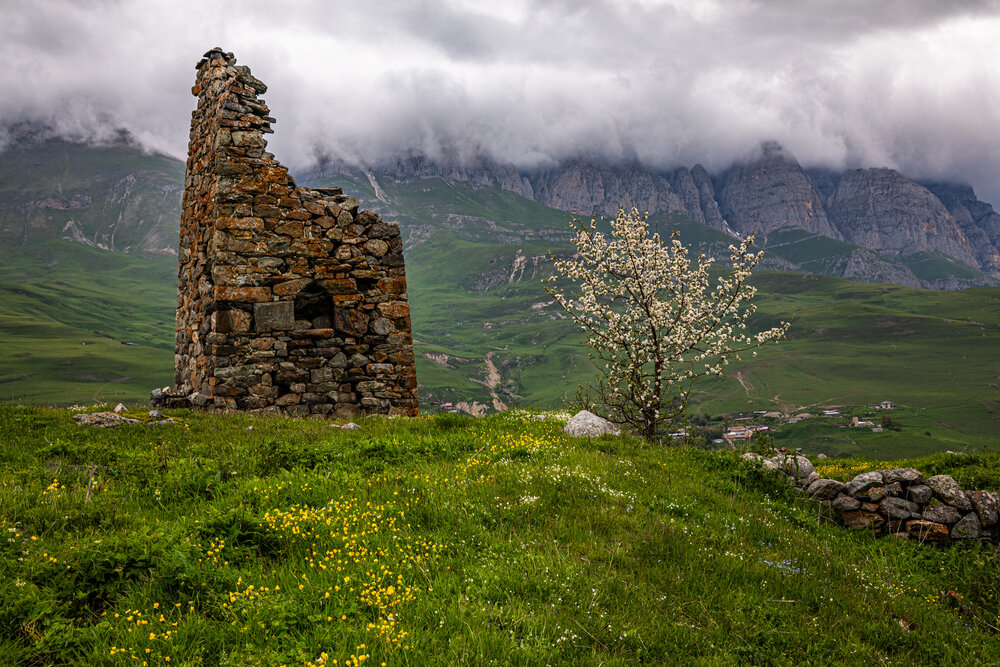 Photograph by Сергей Петров
