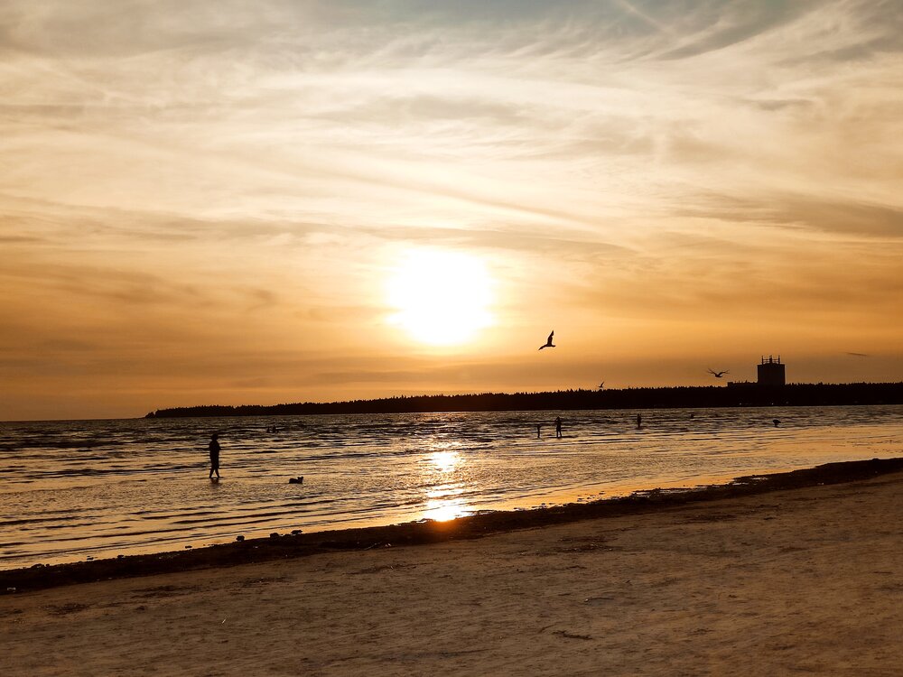 Photograph by Роман Кузнецов