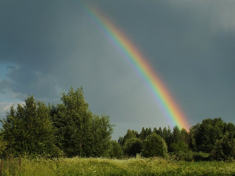 Photograph by Андрей Шестаков