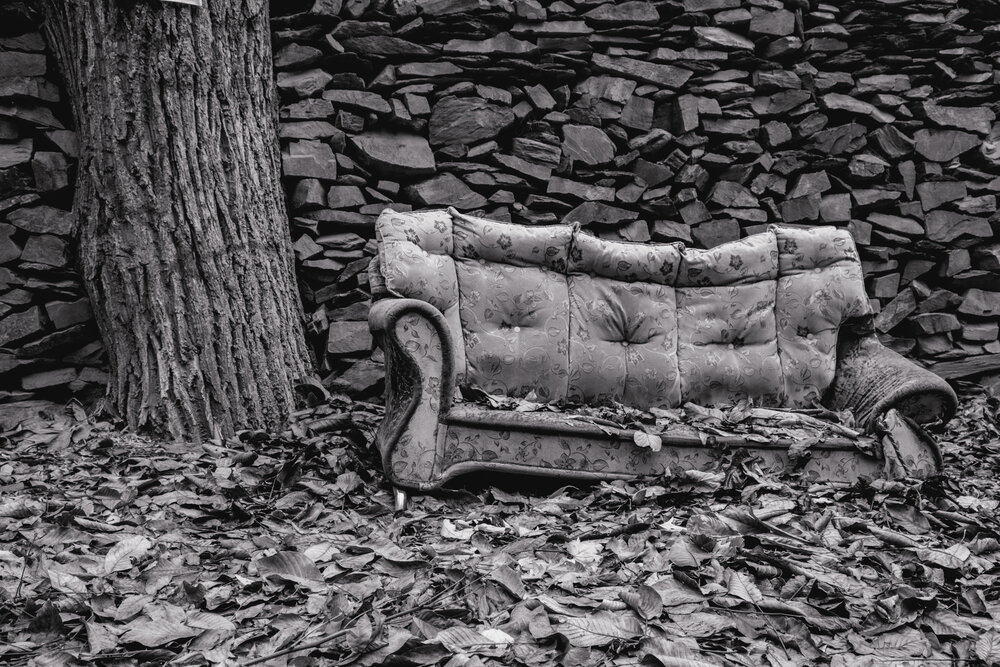 Photograph by seyed mostafa yousefi