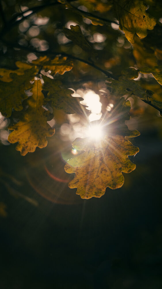 Photograph by Полина Маслова