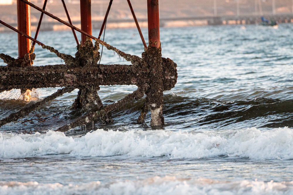 Reclaimed by the Sea