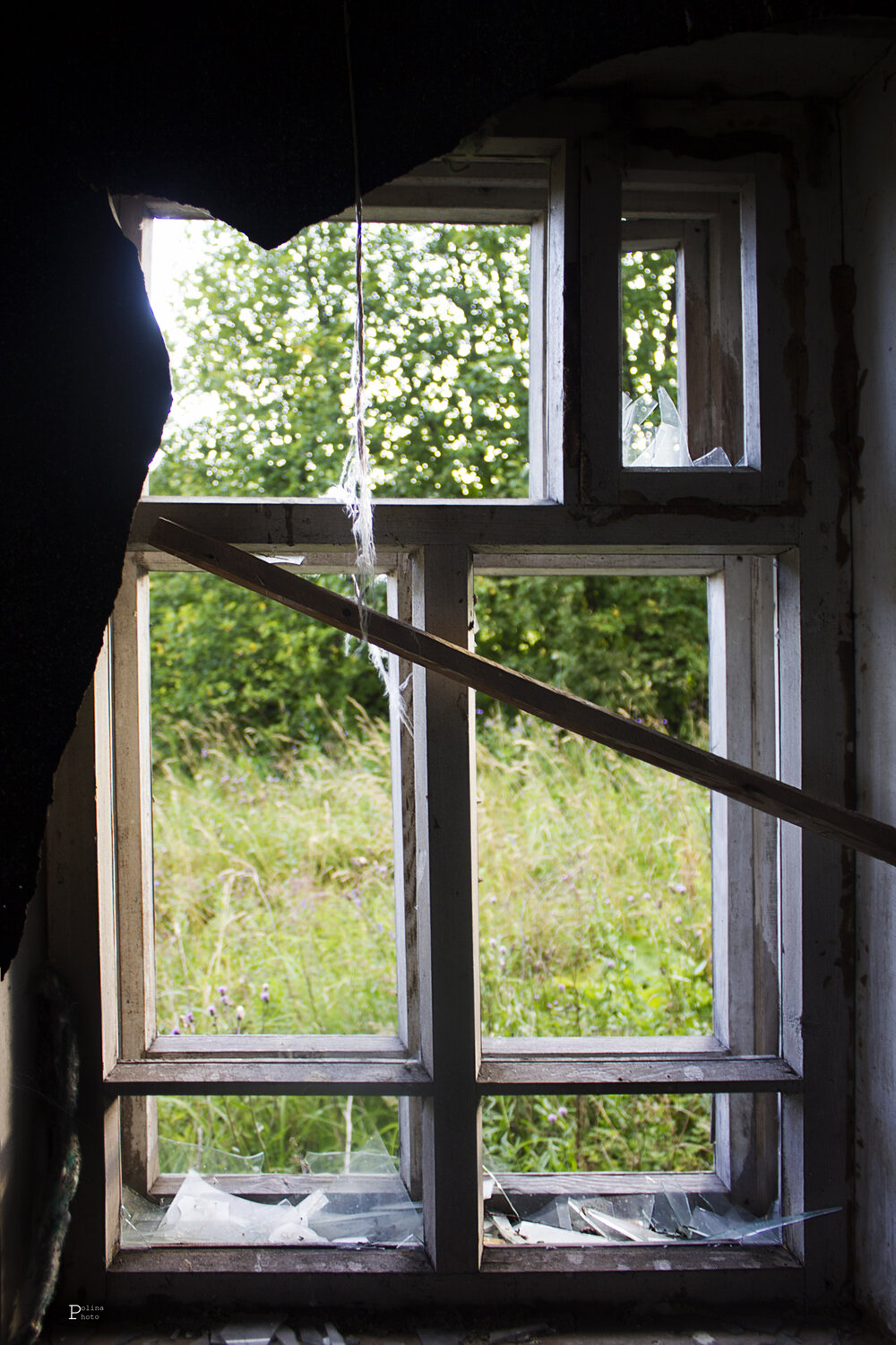 Photo #13981904