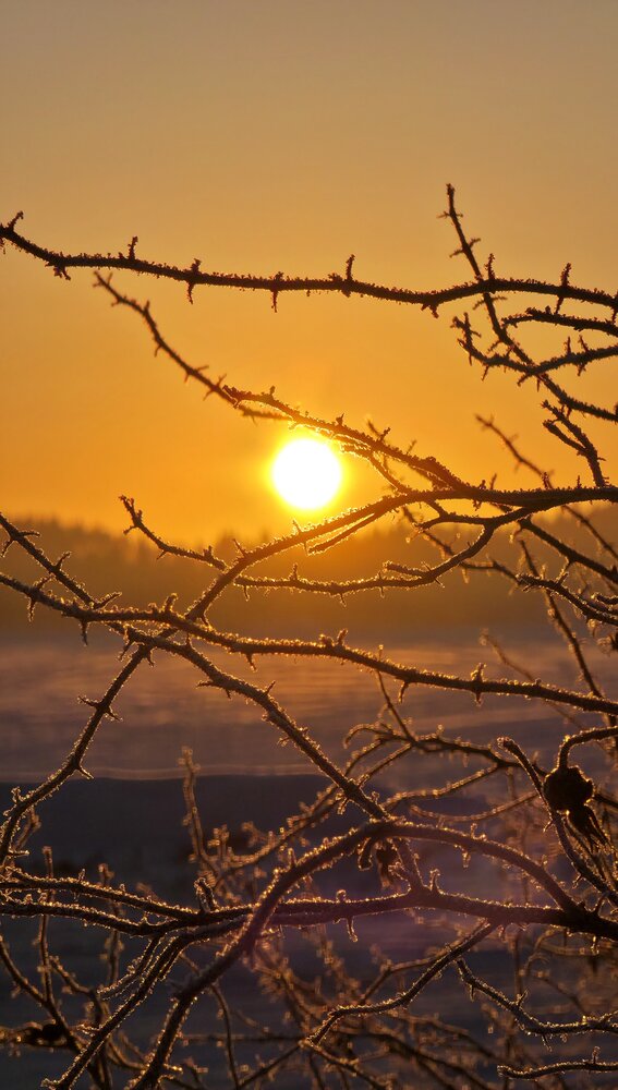 Photograph by Галина Перепечаева