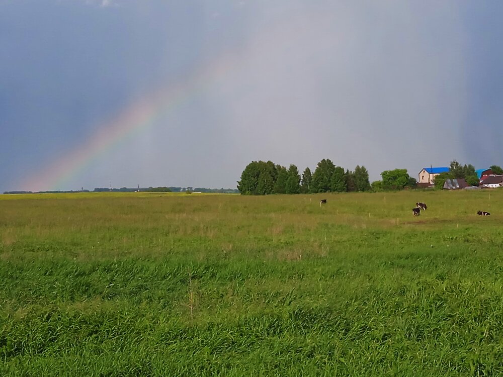Photograph by Наталья Сорокина