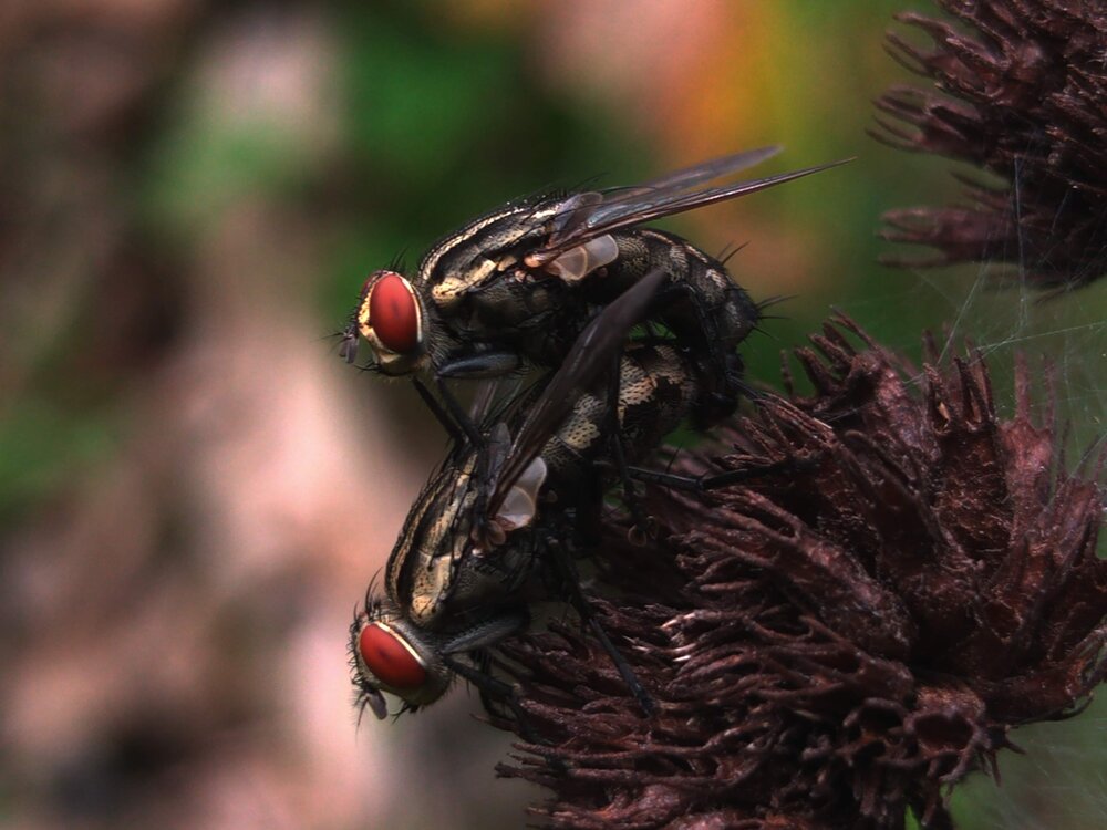 Photograph by Khairul Zamzami