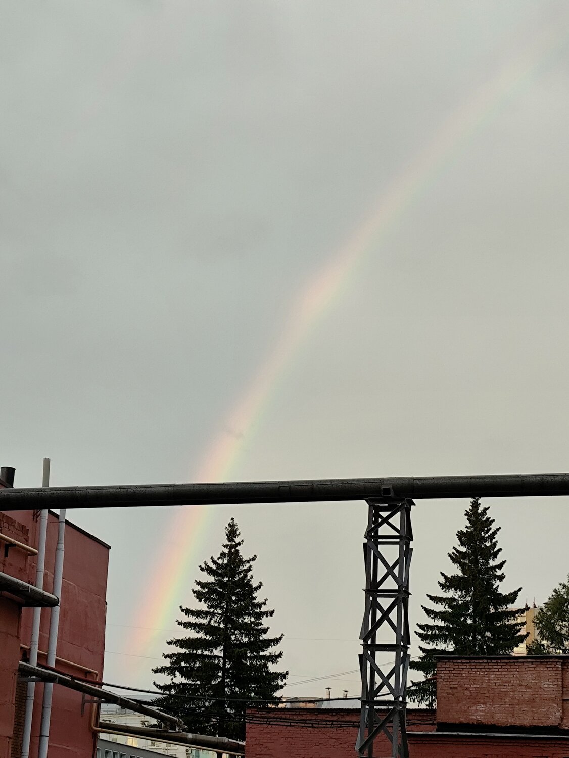 Photo #13982176