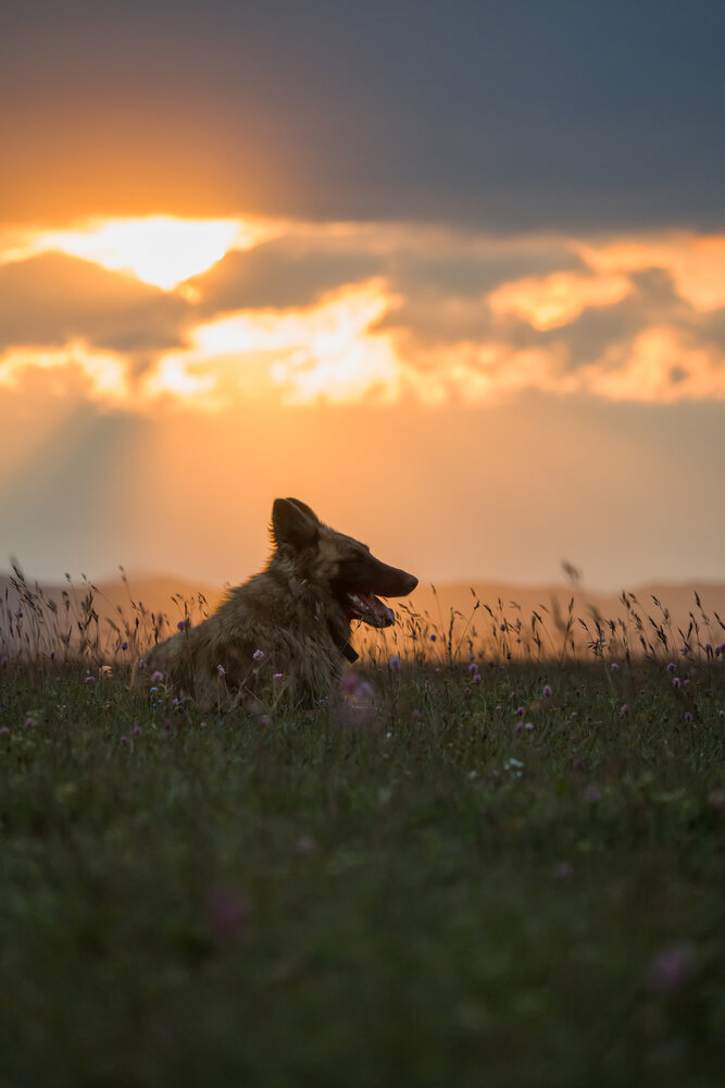 Photograph by Александр Левин