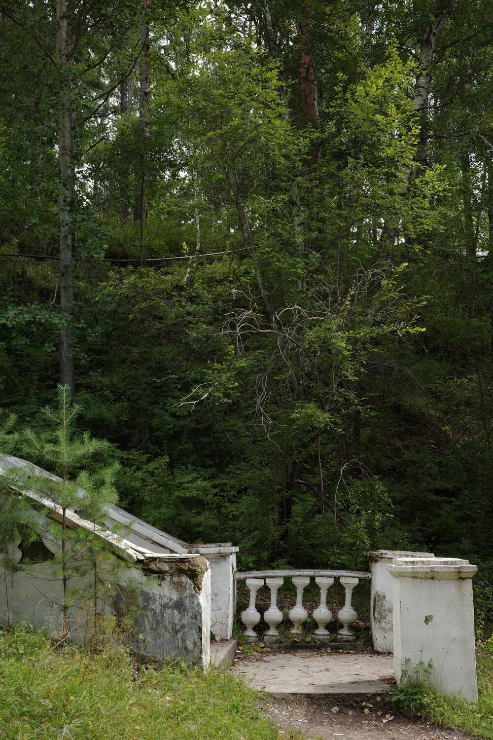 Photo #13982217