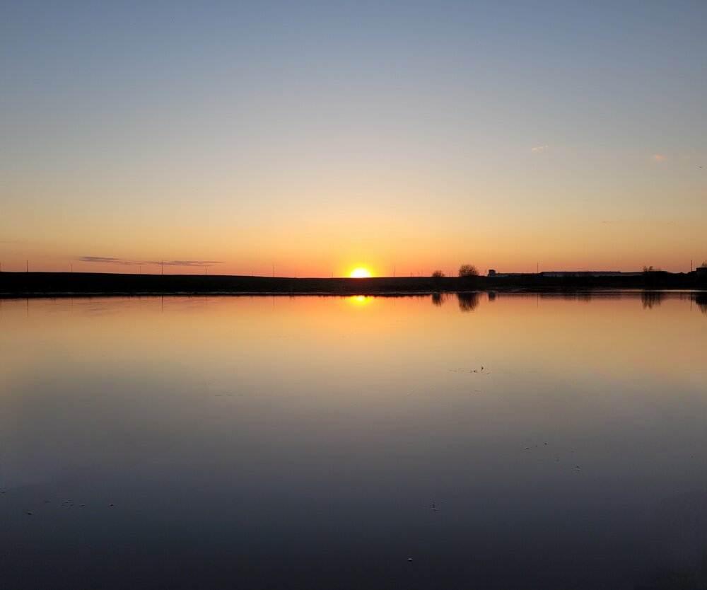 Photo #13982236