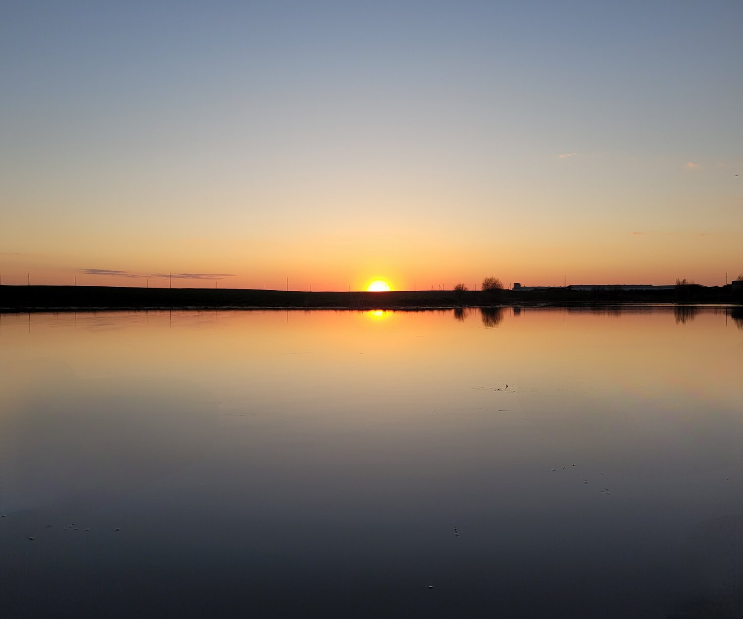 Photo #13982236