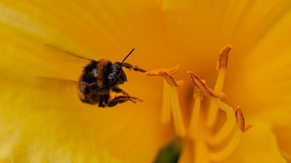 Photograph by Григорий Лапин