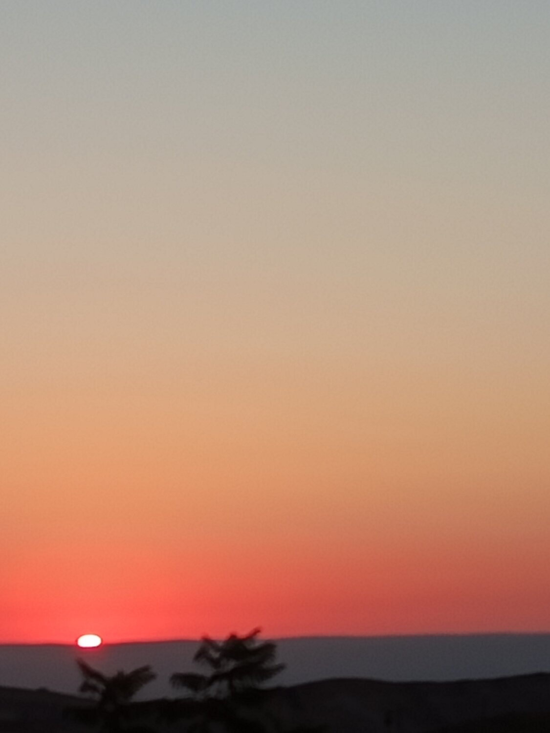 Photo #13982284