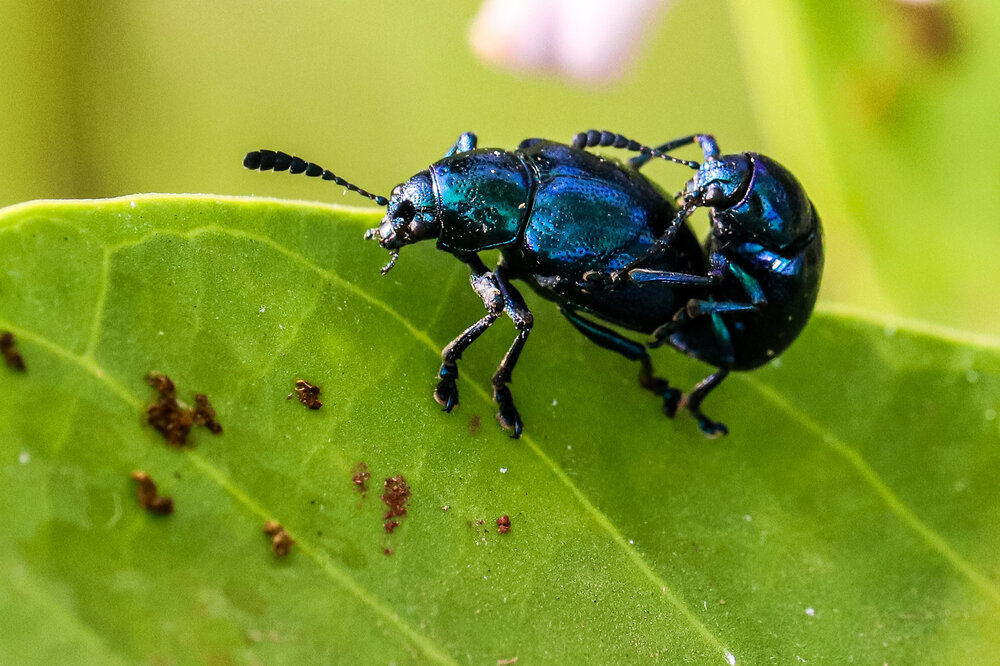 Photograph by Arkachanda Roy