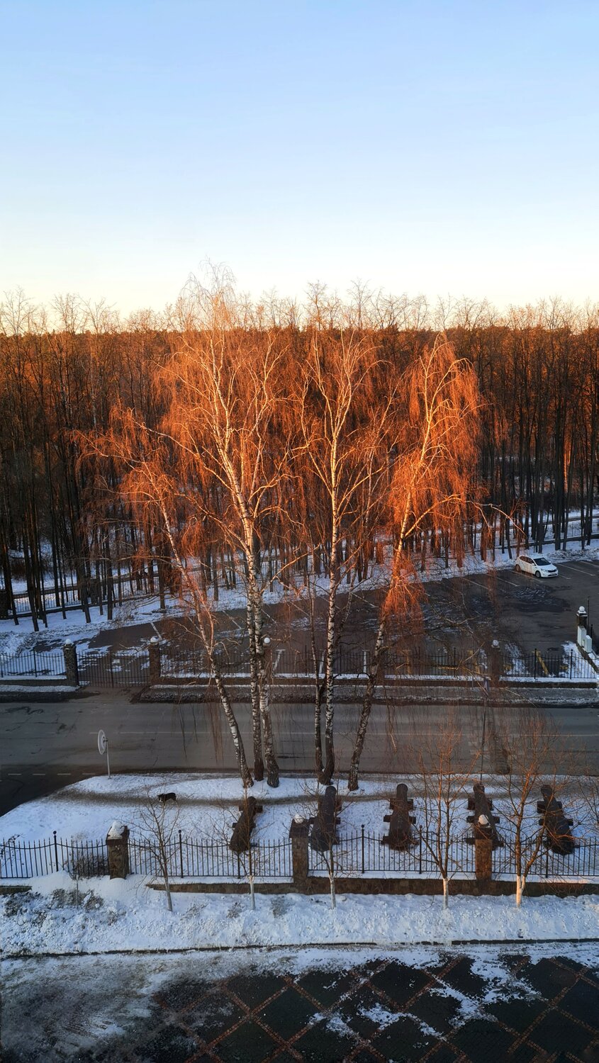 Photo #13982346