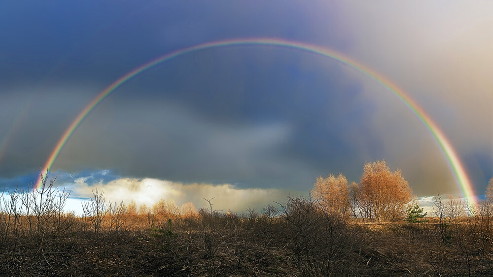 Photograph by Людмила Железнова