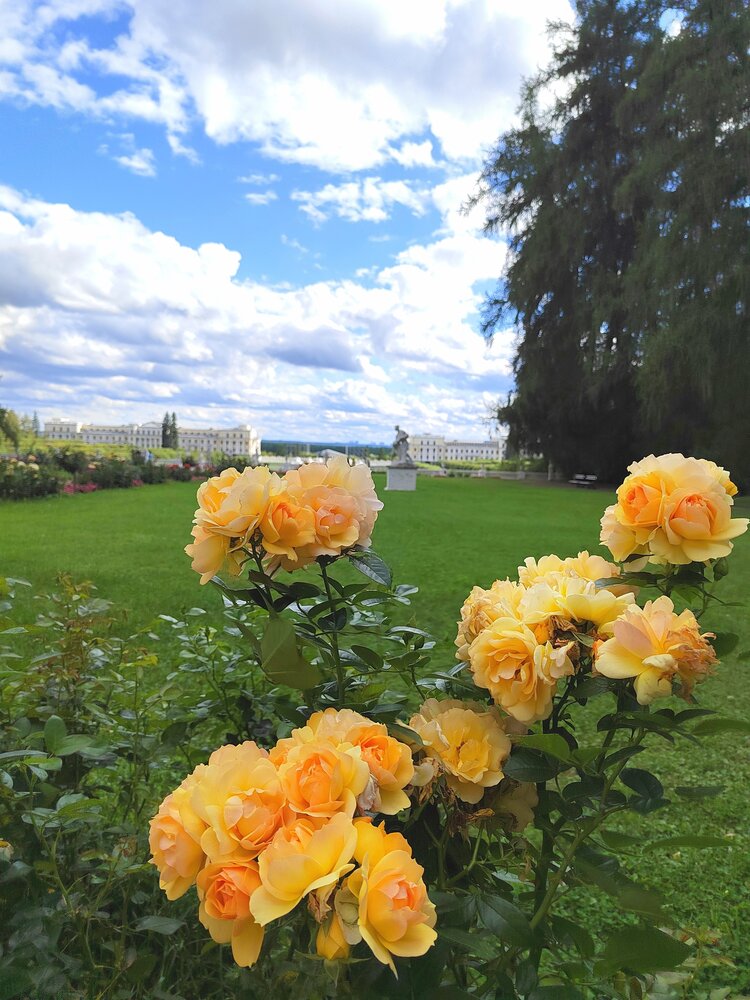 Photograph by Ольга Дружинина