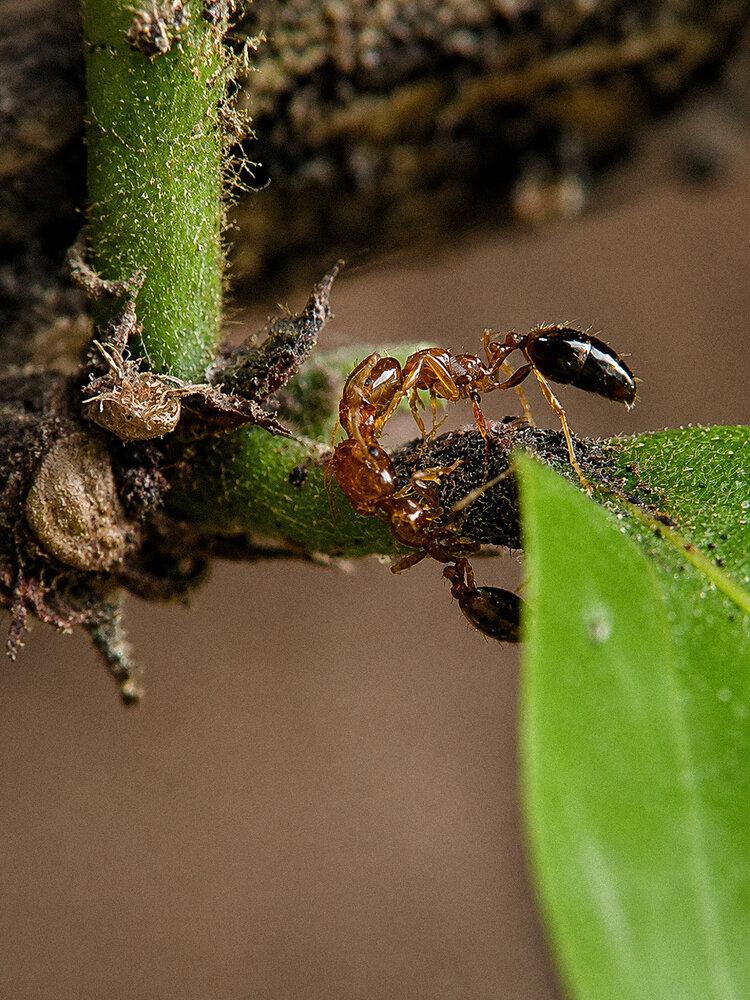 Photograph by Sourav Dutta