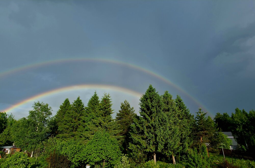 Photograph by Виктория Жарковская