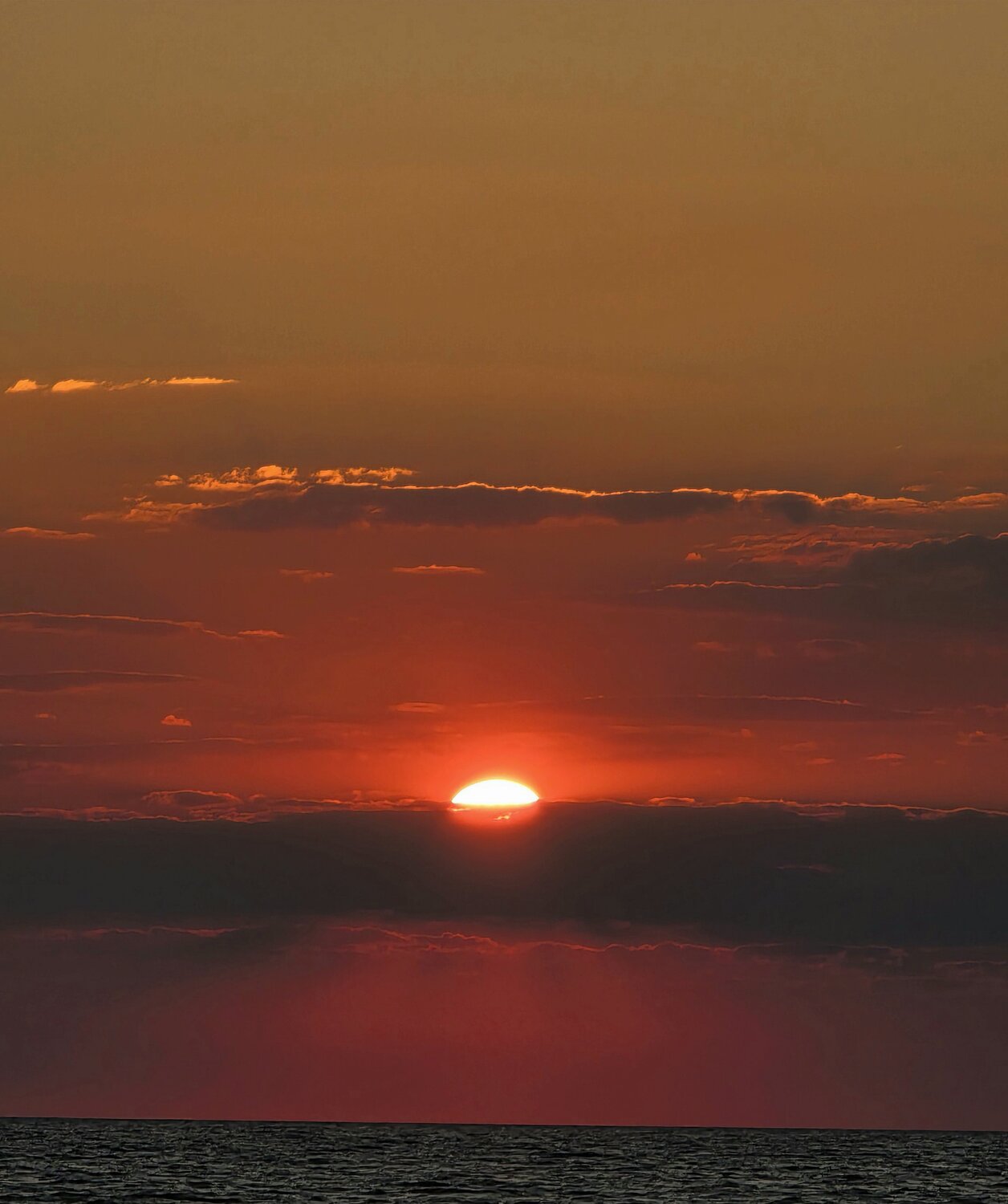 Photo #13982578