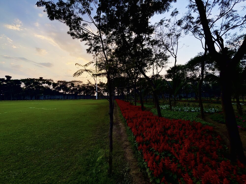 The gorgious Nature.