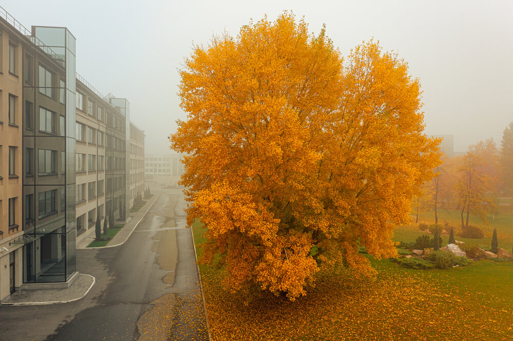 Photograph by Денис Базаров