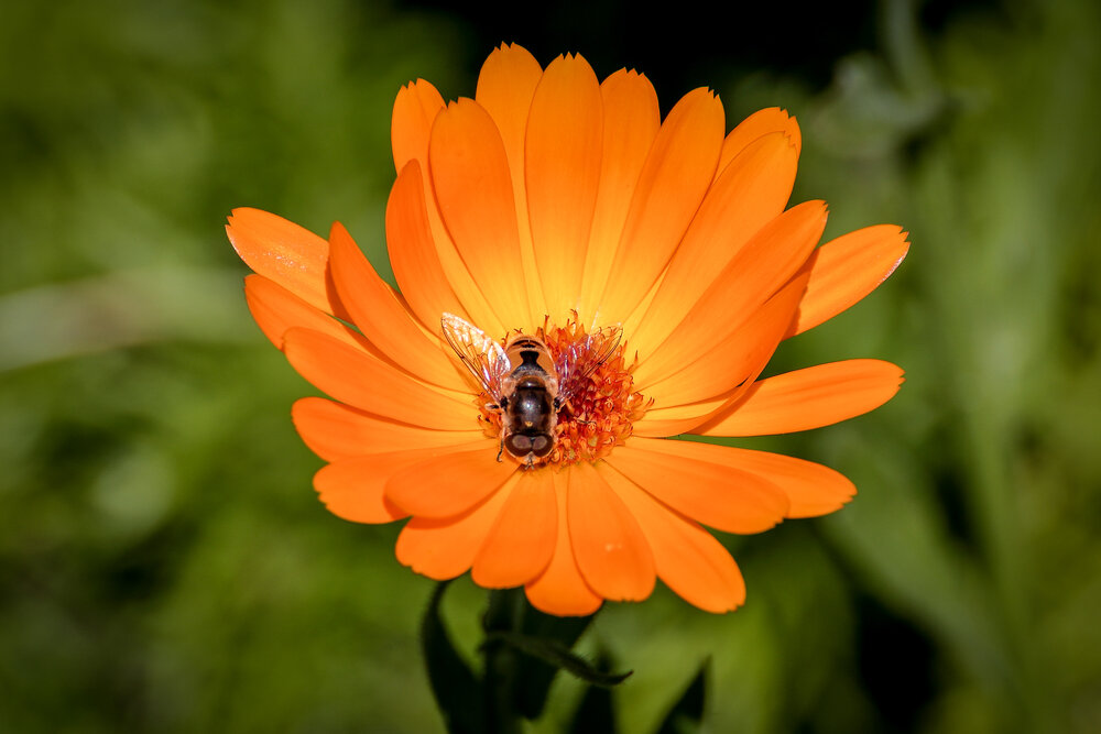 Photograph by Юрий Фефилов