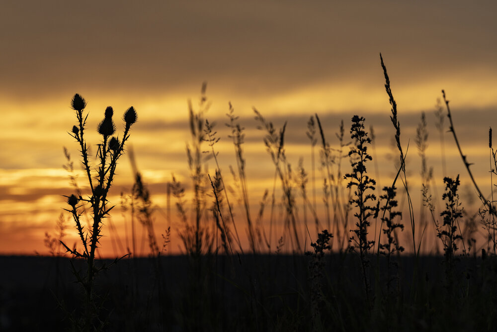 Photograph by Максим Мураков
