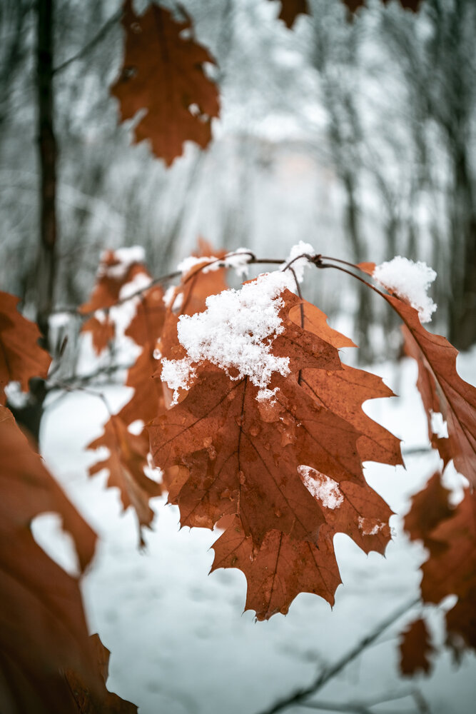 Photograph by Максим Мураков