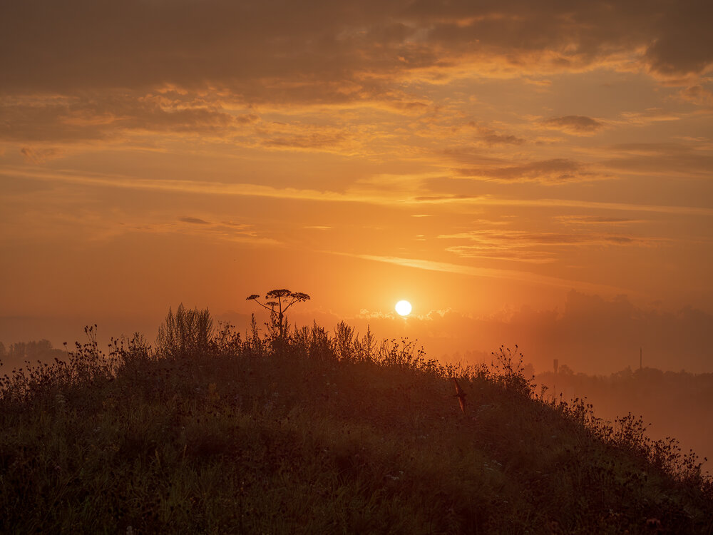 Photograph by Марина Брыдня