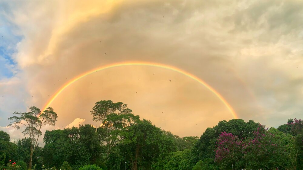 Photograph by Washiful Majid