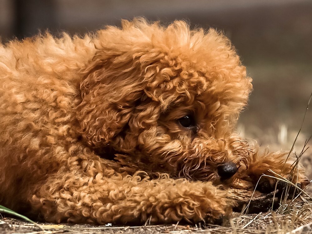 Photograph by Ольга Осинина