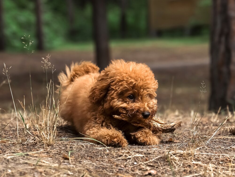 Photograph by Ольга Осинина