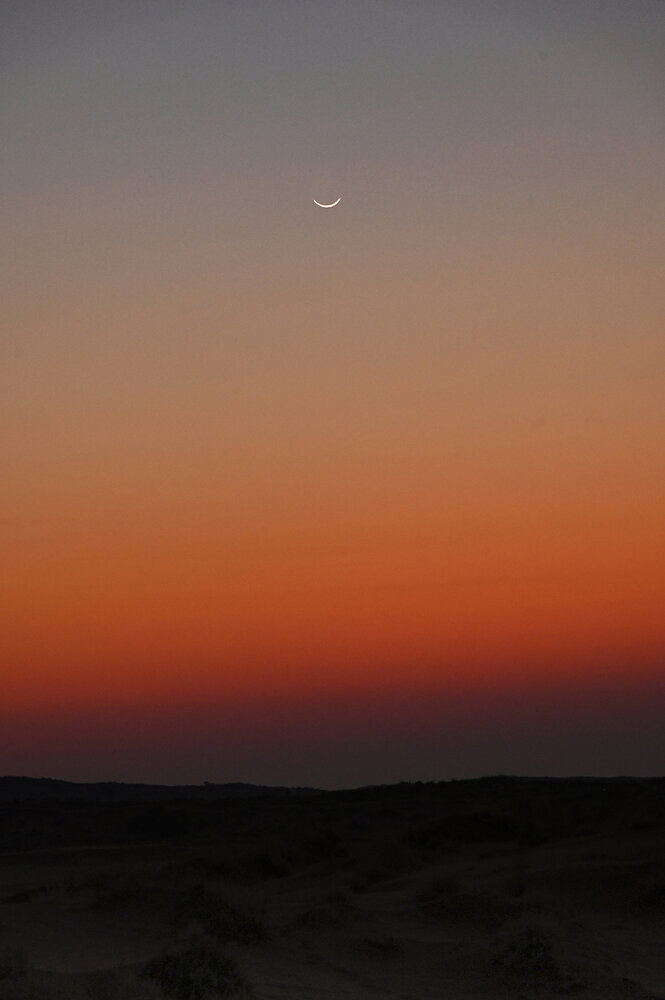 Photograph by Jordi Roig