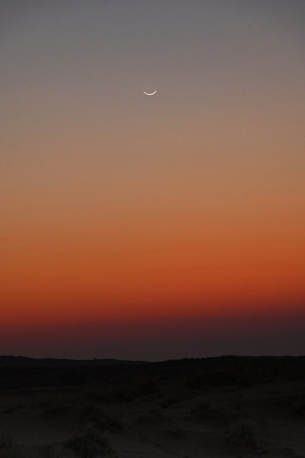 Photo #13983294