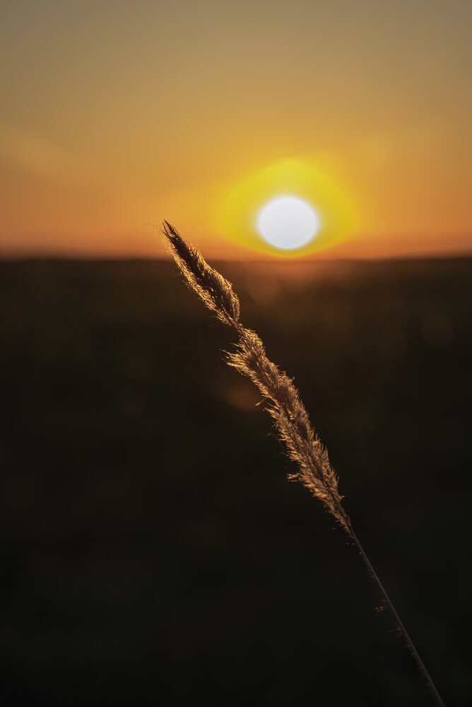 Photograph by Альфия Агзами