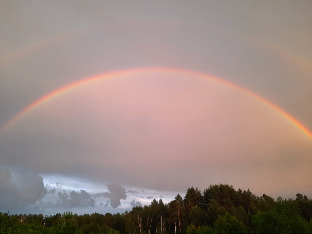 Photograph by Елена Пикатова