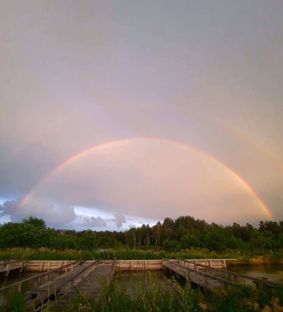 Photograph by Елена Пикатова