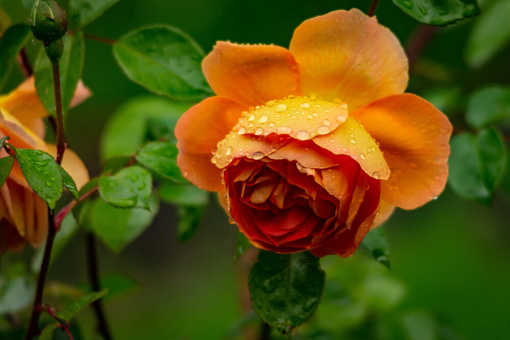Photograph by Владислав Лопатов