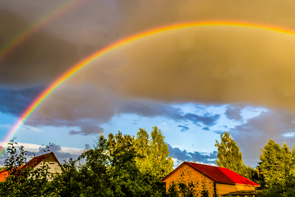 Photograph by Игорь Соя