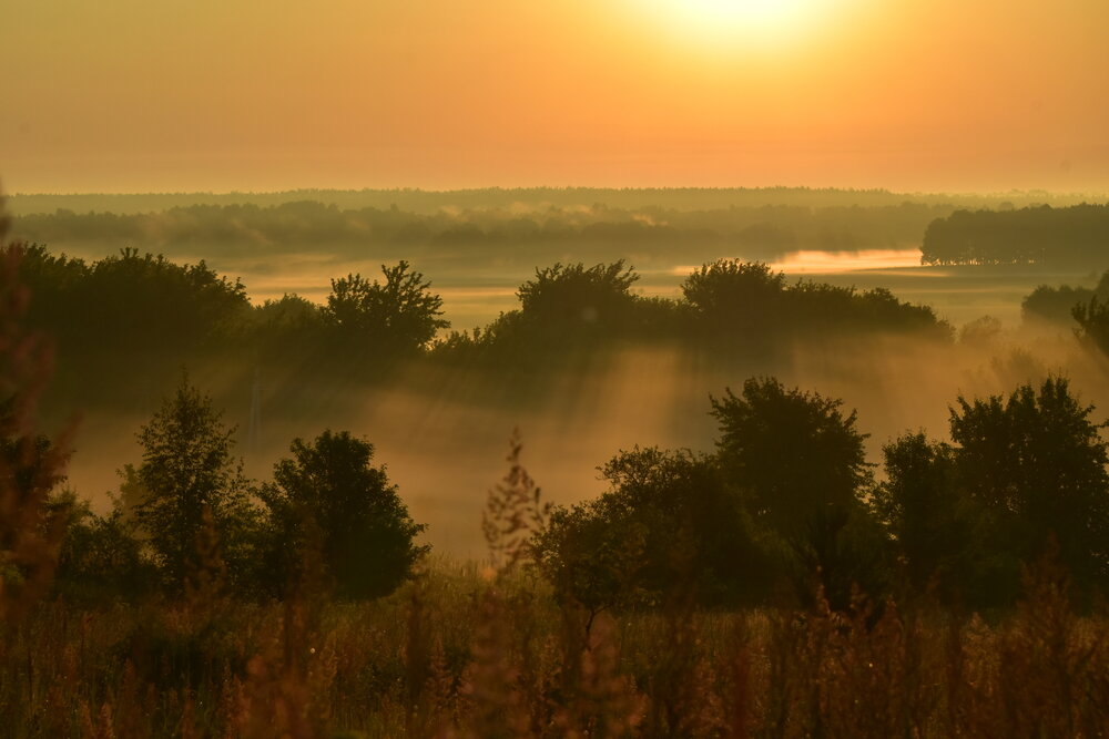 Photograph by Татьяна Калугина