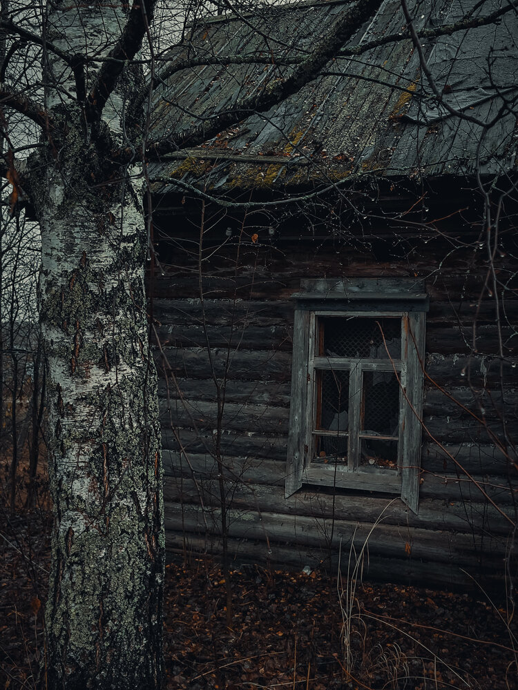 Photograph by Елена