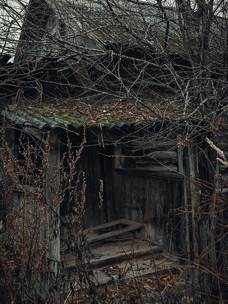Photograph by Елена
