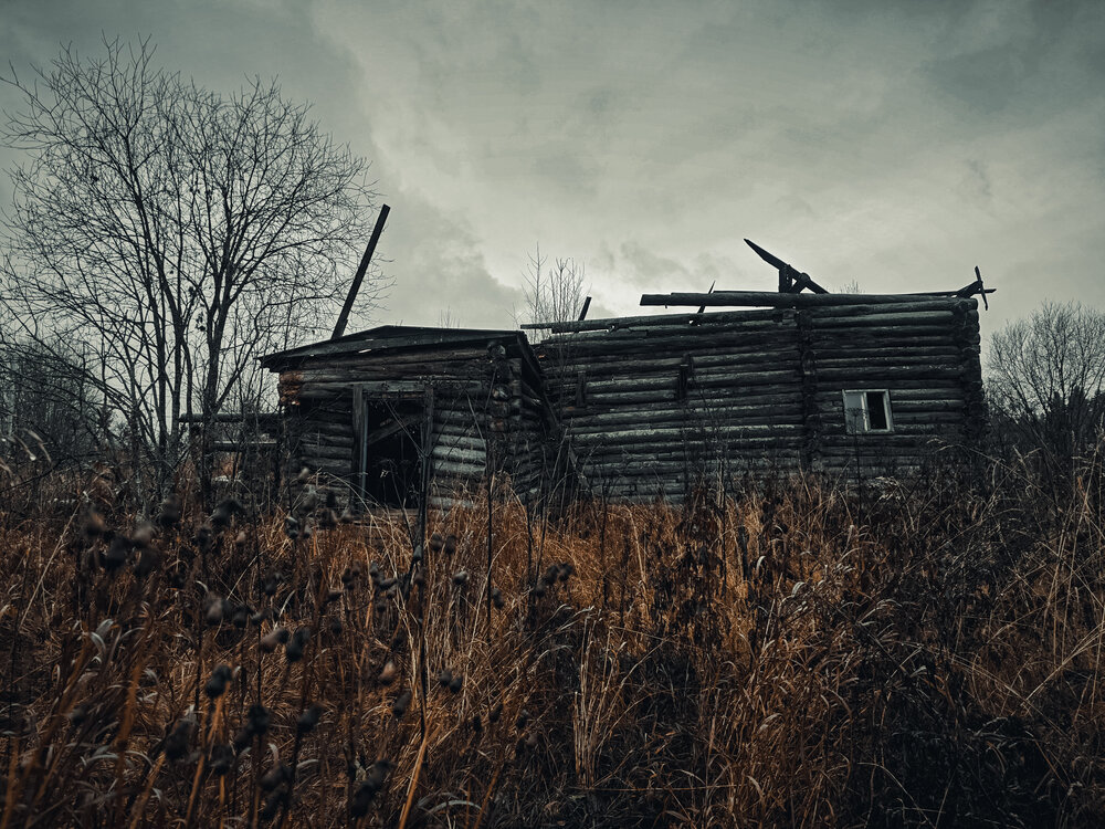 Photograph by Елена