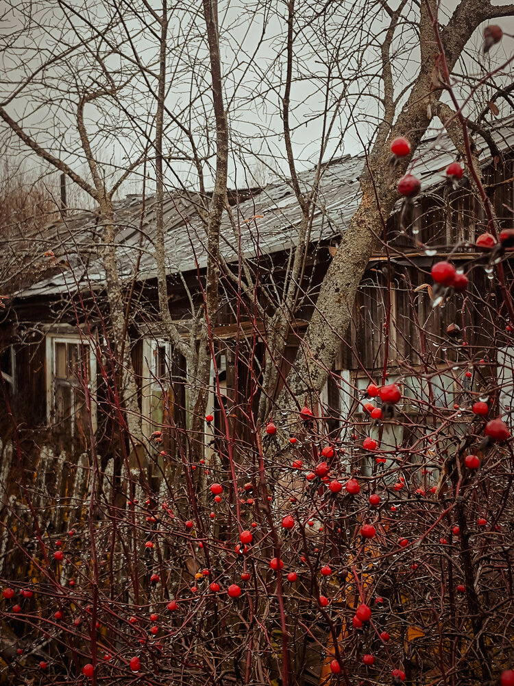 Photograph by Елена