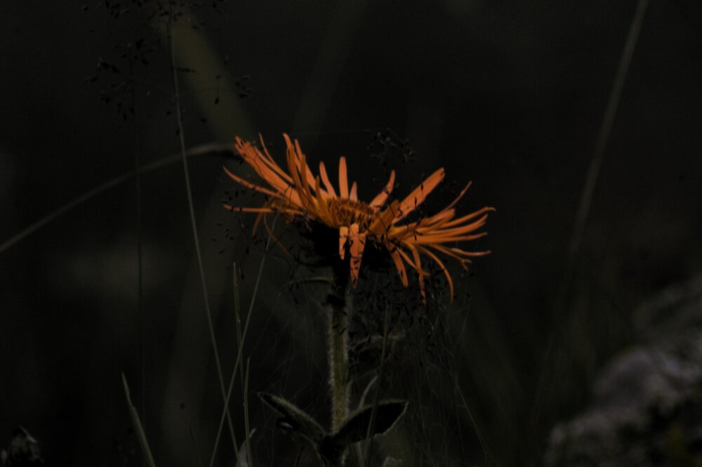 Photograph by Svetlana Timoshenko