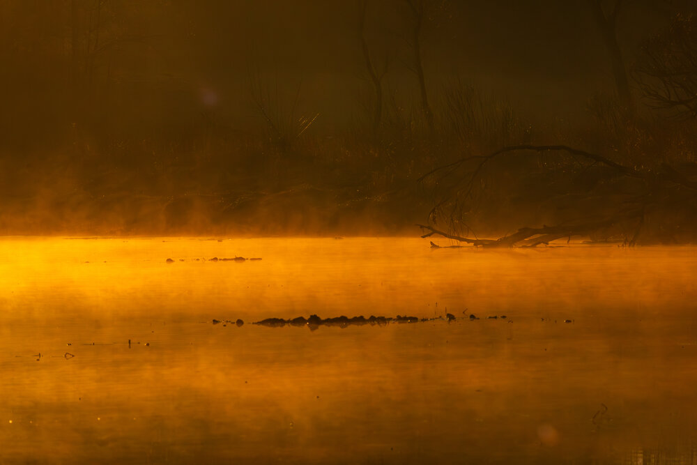 Photograph by Алексей Соколов